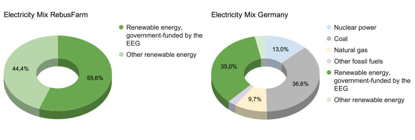 Chart of the RebusFarm Electricity Mix | Chart of the German Electricity Mix